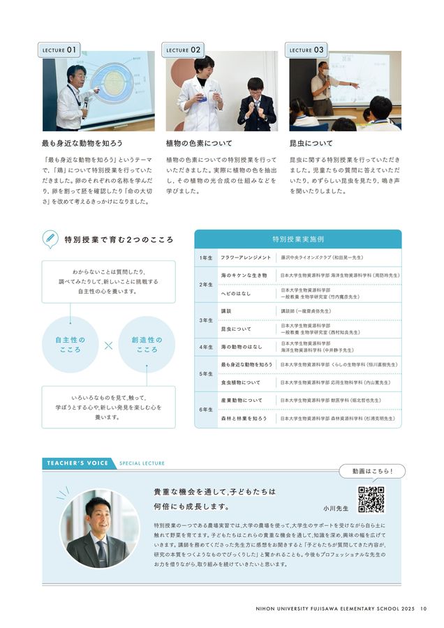 日本大学藤沢小学校 学校案内